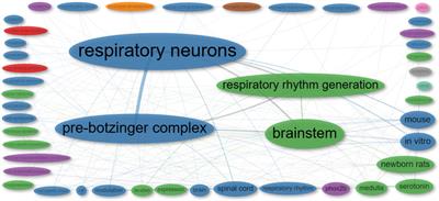 Transgenic rodents as dynamic models for the study of respiratory rhythm generation and modulation: a scoping review and a bibliometric analysis